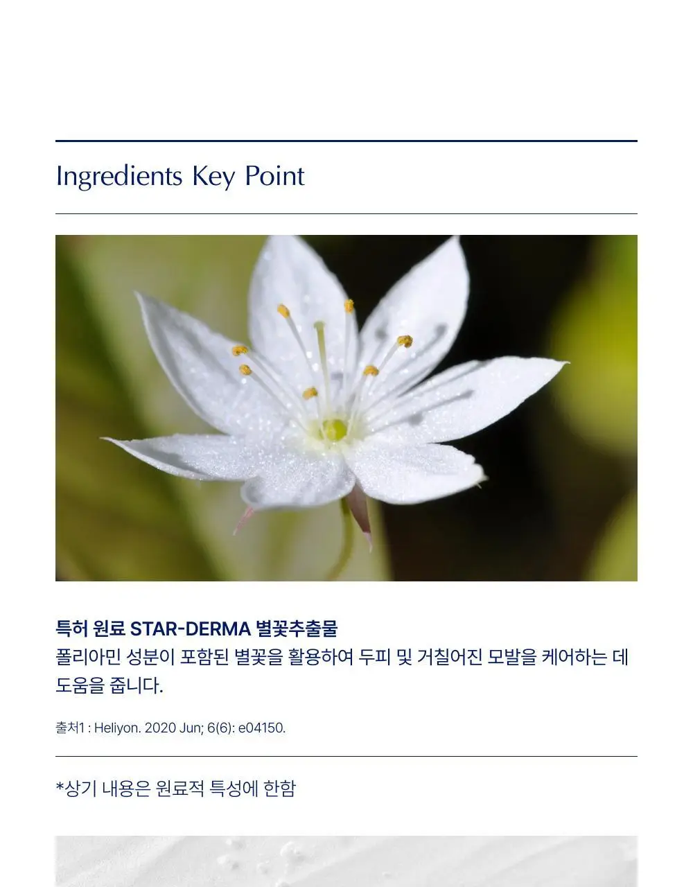 [모발영양 강화] 글라이신 우유단백질 샴푸 1000ml 대용량 상세페이지 11